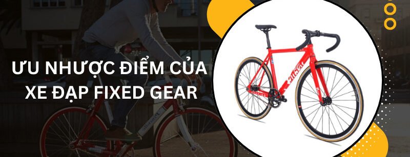 Xe đạp Fixed Gear là gì? Ưu nhược điểm và địa chỉ mua hàng uy tín uu nhuoc diem cua xe dap fixed gear e1767682397591