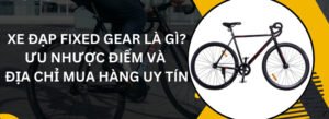 xe dap fixed gear la gi uu nhuoc diem va dia chi mua hang uy tin e1767682374688