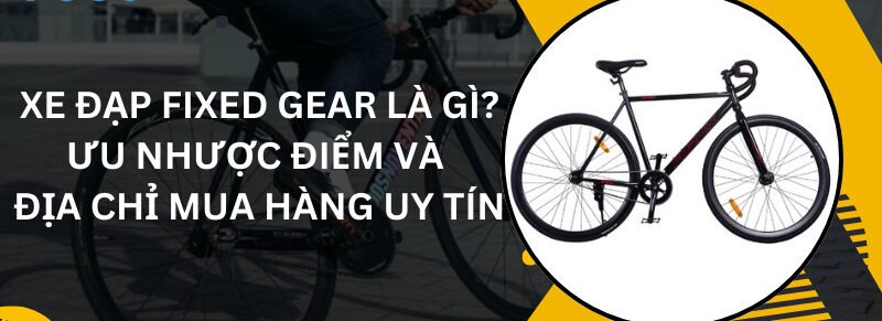 xe dap fixed gear la gi uu nhuoc diem va dia chi mua hang uy tin e1767682374688