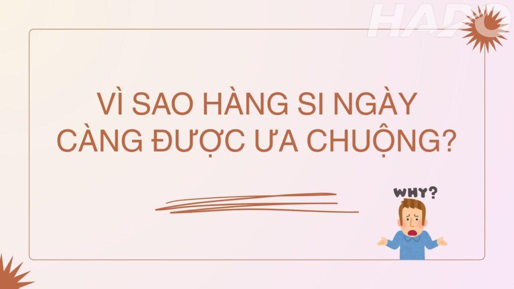 Hàng Si Là Gì? Kinh Nghiệm Mua Hàng Si Chính Hãng Chất Lượng Vì sao hàng si ngày càng được ưa chuộng?