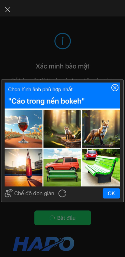 Chọn hình ảnh theo yêu cầu 