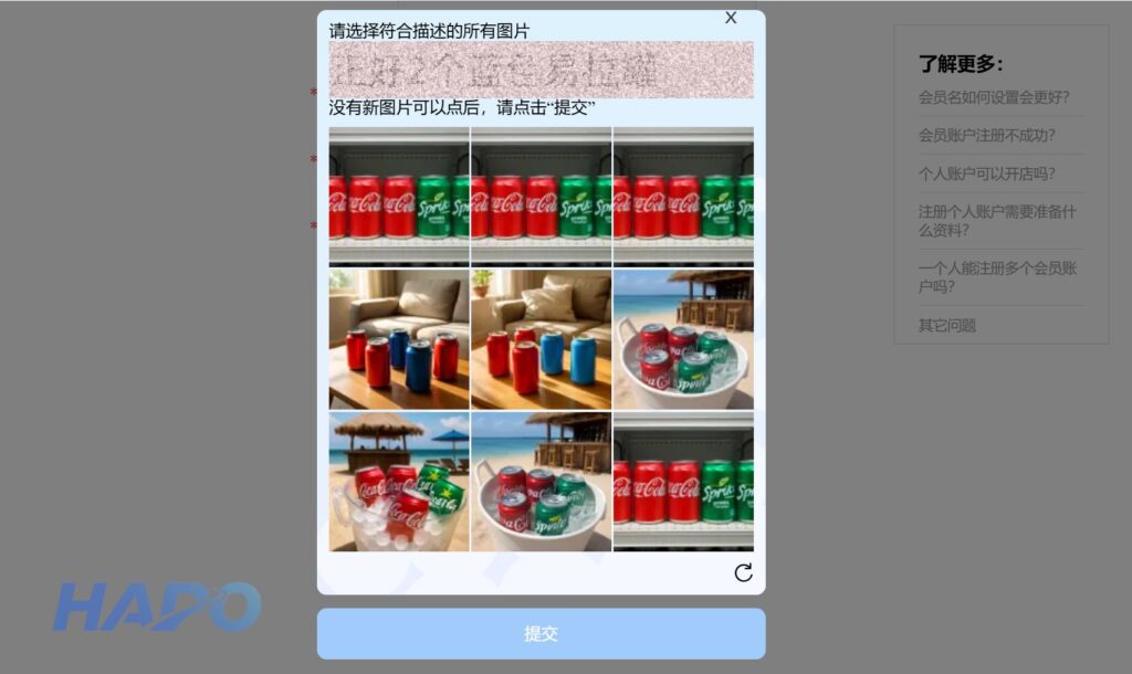 Xác thực bằng hình ảnh (Nếu có)