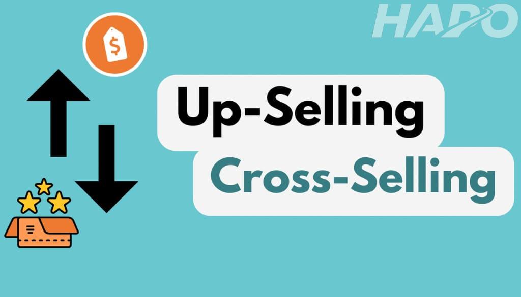 Sale off là gì? Phân biệt sale off và sale up to chi tiết từ A–Z Các nhà kinh doanh nên tận dụng sale off để tăng lợi nhuận như thế nào?