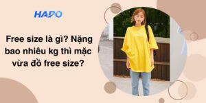  Free size là gì? Nặng bao nhiêu kg thì mặc vừa đồ free size?