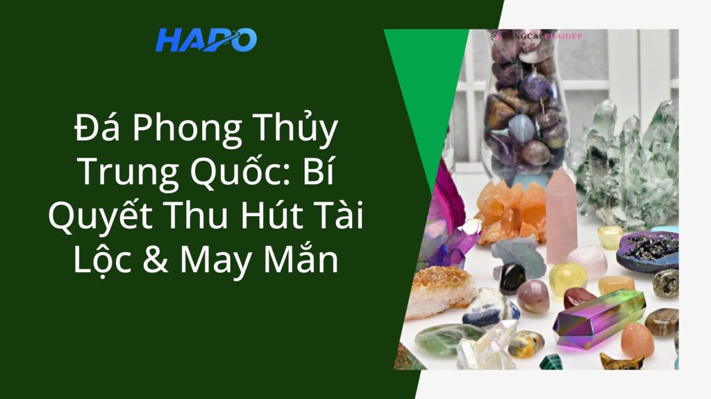 Đá Phong Thủy Trung Quốc: Bí Quyết Thu Hút Tài Lộc & May Mắn Đá Phong Thủy Trung Quốc: Bí Quyết Thu Hút Tài Lộc & May Mắn