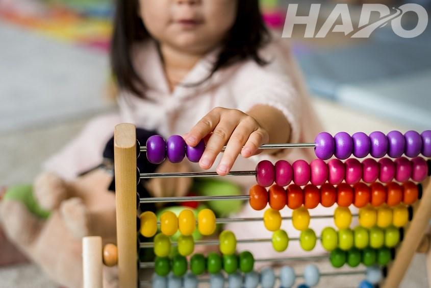 Đồ chơi giáo dục Montessori