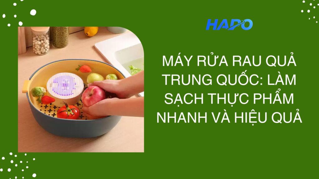 Máy rửa rau quả Trung Quốc: Làm sạch thực phẩm nhanh và hiệu quả