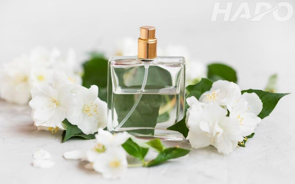 Top 5 mùi nước hoa nội địa Trung được yêu thích nhất hiện nay Hương hoa nhài tinh tế