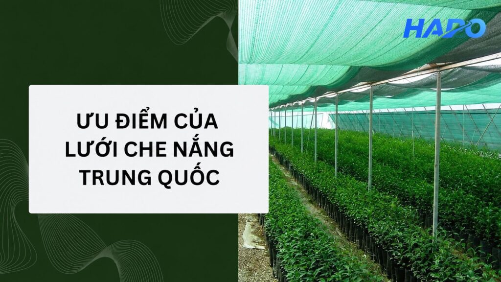 Lưới che nắng Trung Quốc có ưu điểm gì? Cách chọn hàng chất lượng Ưu điểm của lưới che nắng Trung Quốc