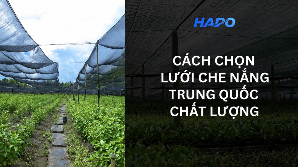 Lưới che nắng Trung Quốc có ưu điểm gì? Cách chọn hàng chất lượng Cách chọn lưới che nắng Trung Quốc chất lượng