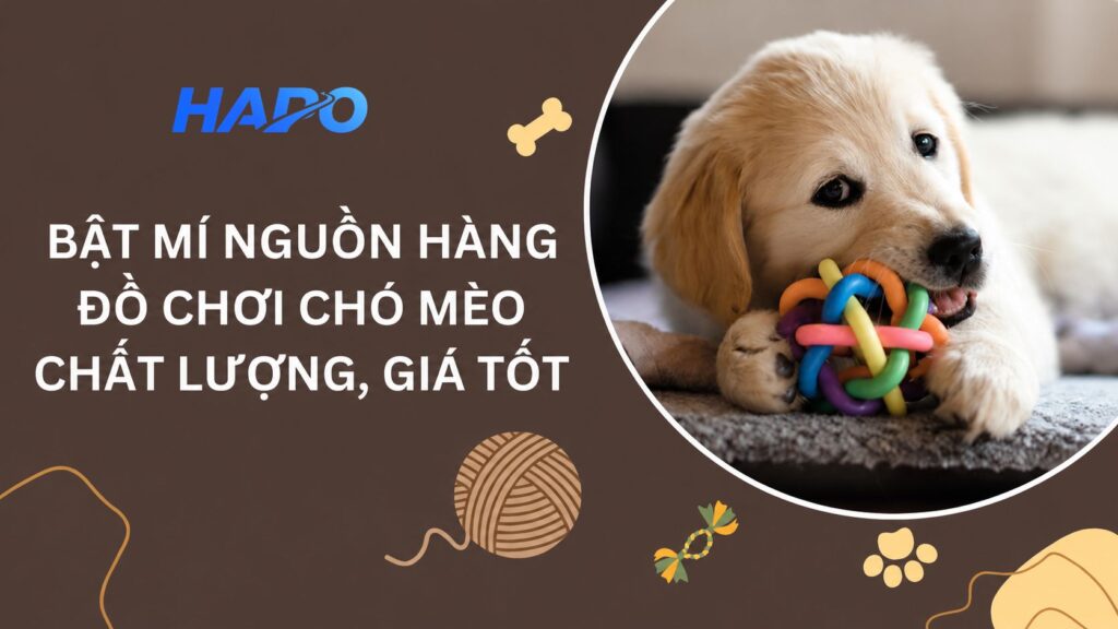 Bật mí nguồn hàng đồ chơi chó mèo Trung Quốc chất lượng, giá tốt Bật mí nguồn hàng đồ chơi chó mèo Trung Quốc chất lượng, giá tốt
