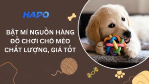 Bật mí nguồn hàng đồ chơi chó mèo Trung Quốc chất lượng, giá tốt
