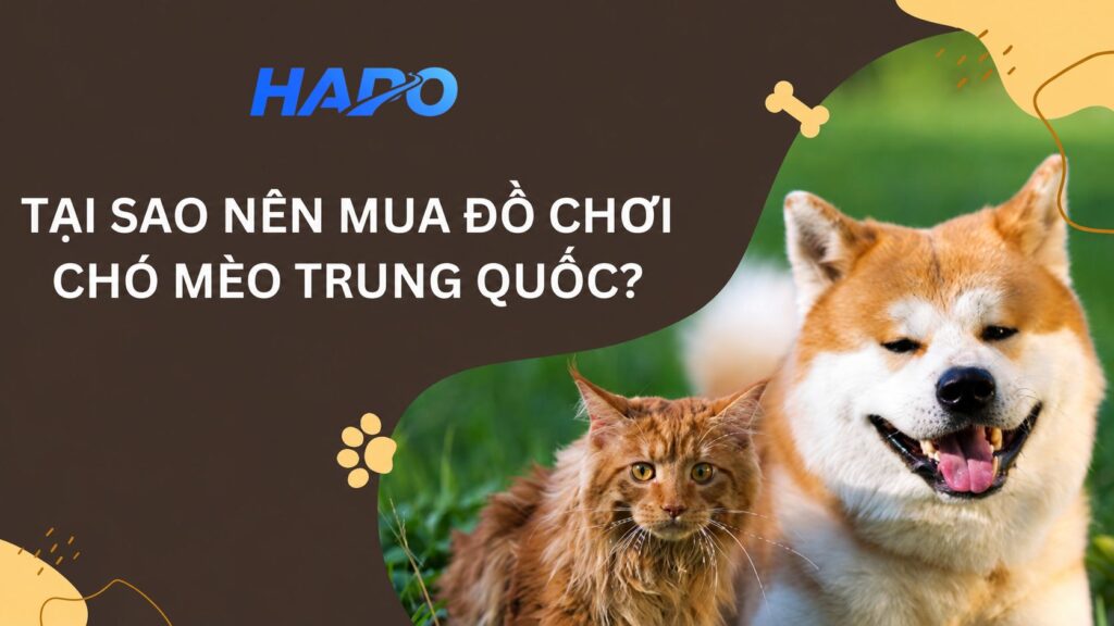Bật mí nguồn hàng đồ chơi chó mèo Trung Quốc chất lượng, giá tốt Tại sao nên mua đồ chơi chó mèo Trung Quốc?