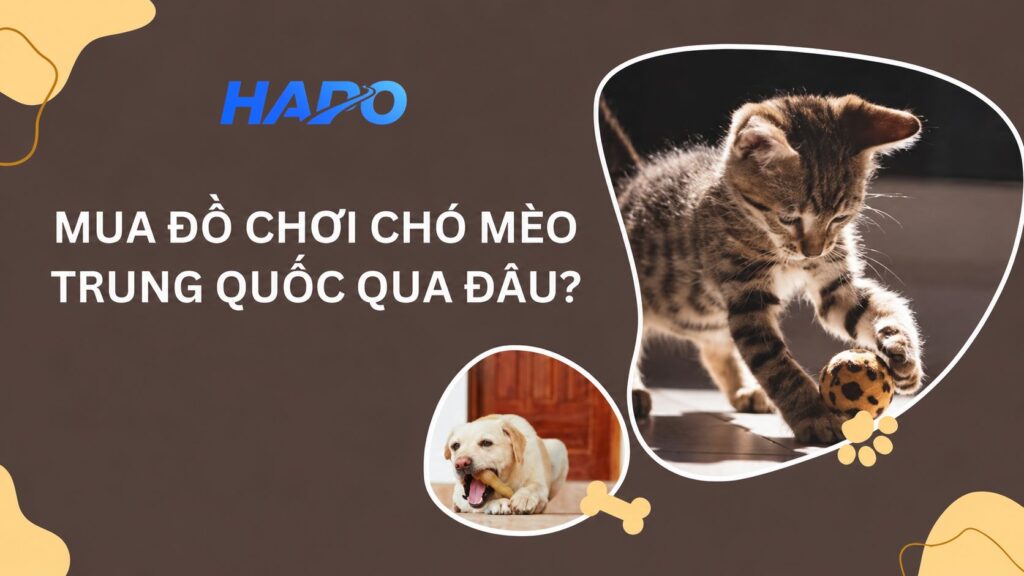Bật mí nguồn hàng đồ chơi chó mèo Trung Quốc chất lượng, giá tốt Mua đồ chơi chó mèo Trung Quốc qua đâu?