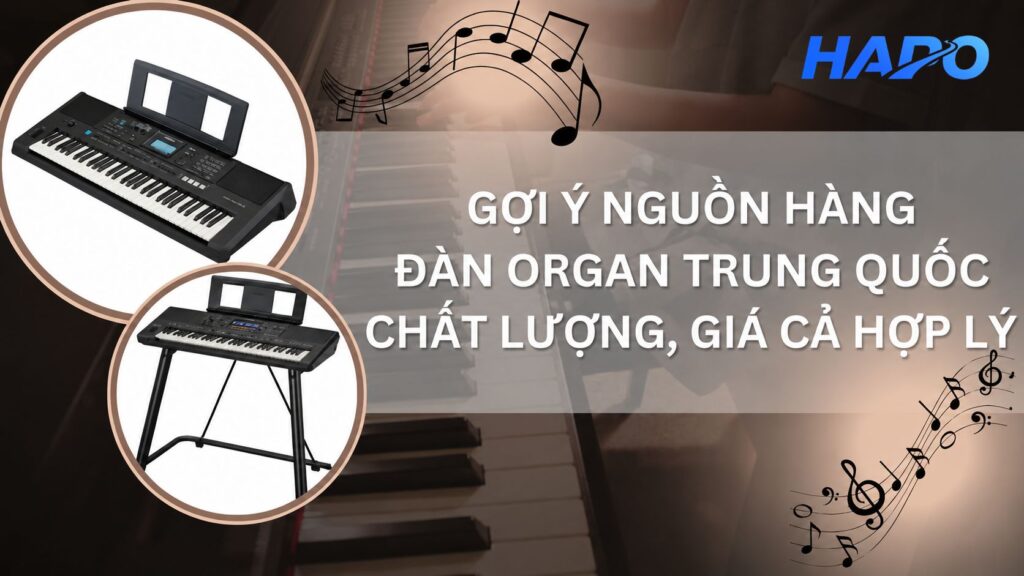 Gợi ý nguồn hàng đàn Organ Trung Quốc chất lượng, giá cả hợp lý