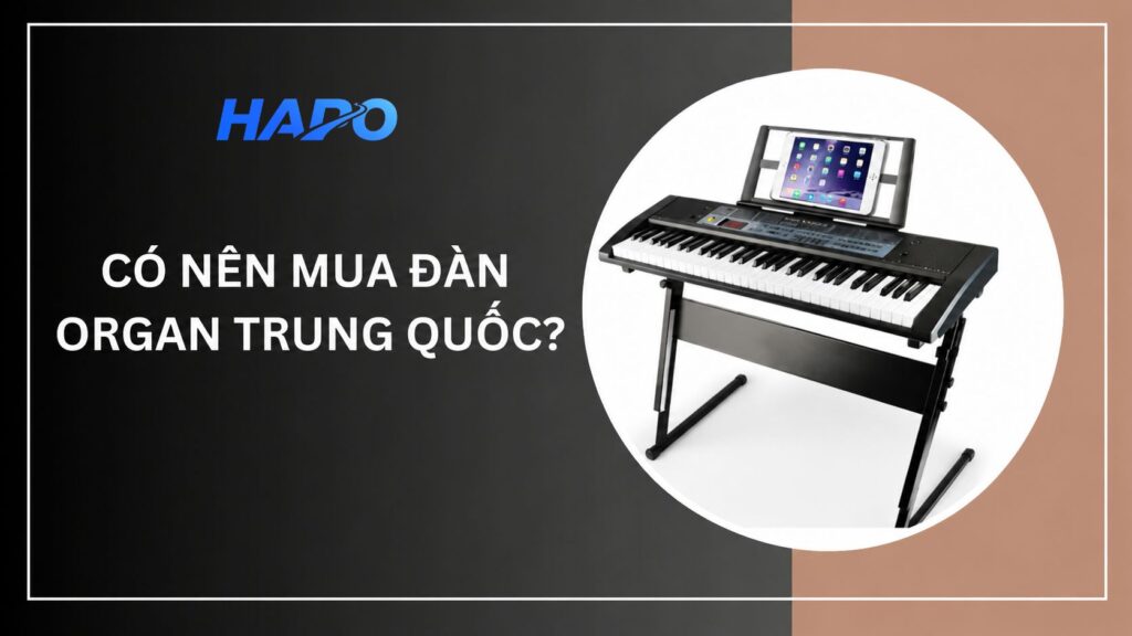 Có nên mua đàn Organ Trung Quốc?