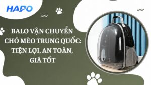 Balo vận chuyển chó mèo Trung Quốc: Tiện lợi, an toàn, giá tốt