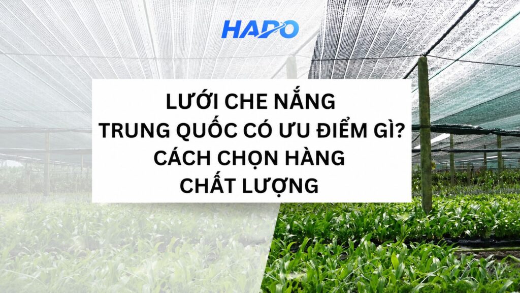 Lưới che nắng Trung Quốc có ưu điểm gì? Cách chọn hàng chất lượng Lưới che nắng Trung Quốc có ưu điểm gì? Cách chọn hàng chất lượng
