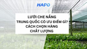 Lưới che nắng Trung Quốc có ưu điểm gì? Cách chọn hàng chất lượng