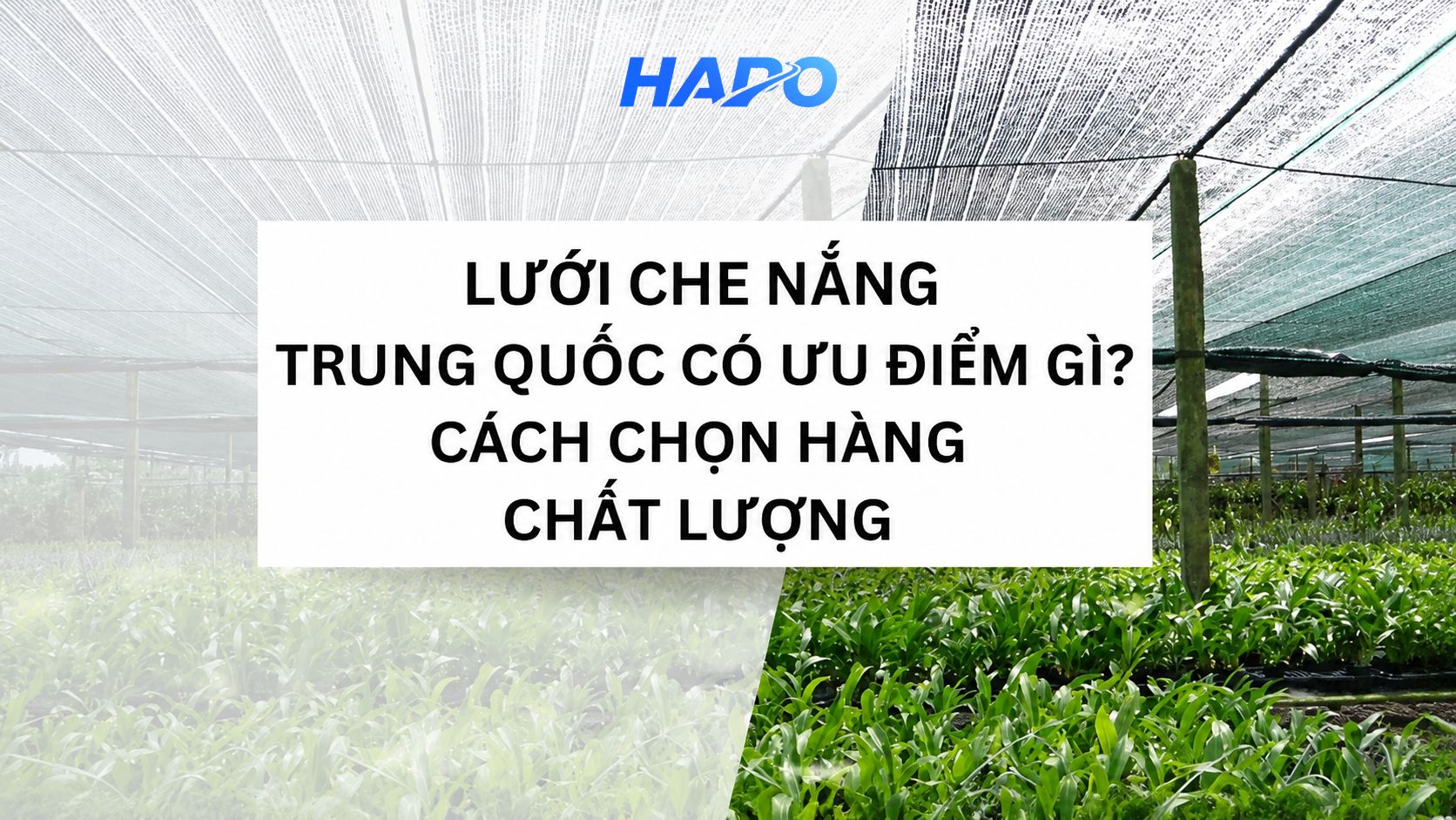 Lưới che nắng Trung Quốc có ưu điểm gì? Cách chọn hàng chất lượng