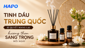Tinh dầu Trung Quốc - Bí quyết mang lại hương thơm sang trọng mỗi ngày